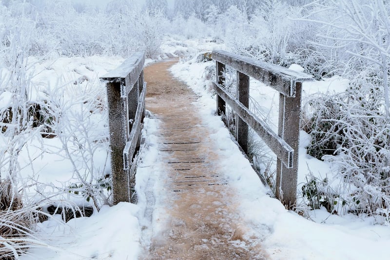 Stardust Pathway